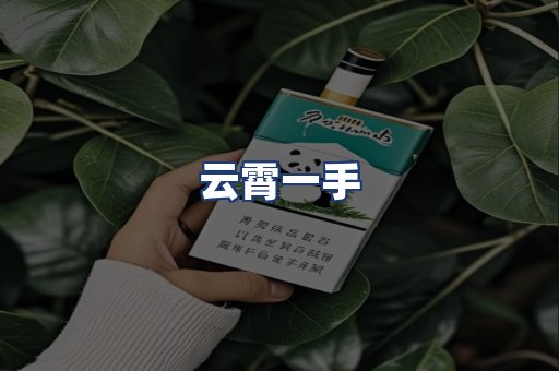 云霄一手
